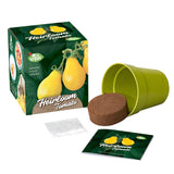 Mrs Green - Grow Your Own - Heirloom Tomato - Yellow Pear