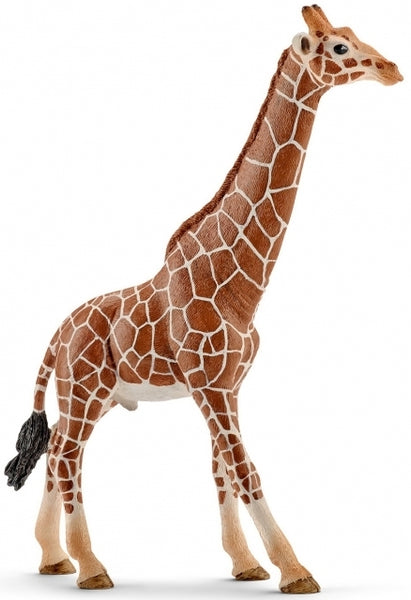 Schleich - Giraffe, Male 14749