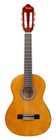 Valencia 100 Series Acoustic Guitar