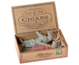 Maileg - Mum And Dad Mice in Cigarbox