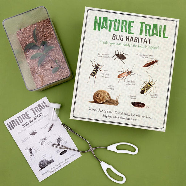 Rex London - Nature Trail - Make Your Own Bug Habitat