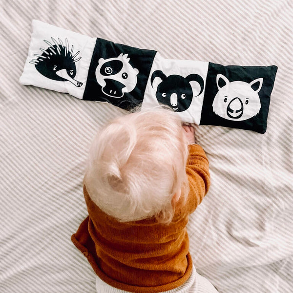 Baby’s First Soft Books