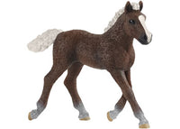 Schleich - Black Forest Foal 13899