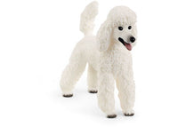 Schleich - Poodle 13917