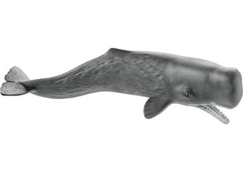 Schleich - Sperm Whale 14764